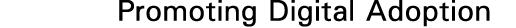 Promoting Digital Adoption