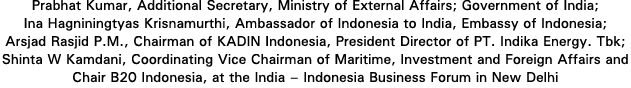 Prabhat Kumar, Additional Secretary, Ministry of External Affairs; Government of India; Ina Hagniningtyas Krisnamurth   